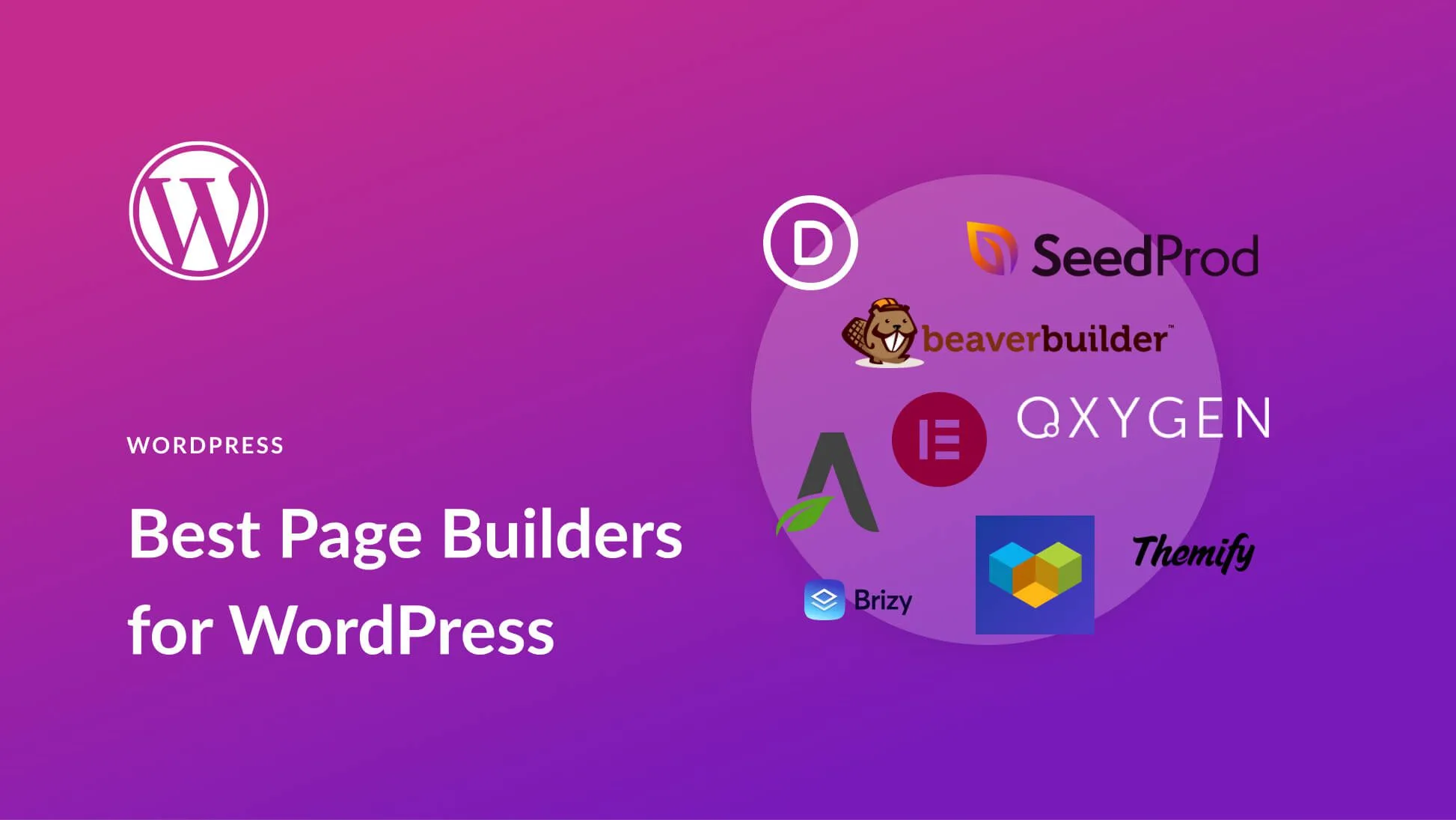 Top 10 Best WordPress Page Builders for 2025